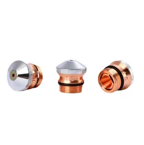 Miltaş DNE Type Double Nozzle 1mm,1 Adet