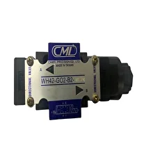 CML WH42-G02-B2-DC24 Hidrolik Valf