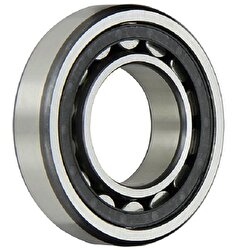 ZFA NU204.TVP.C3 Rulman 10 Adet