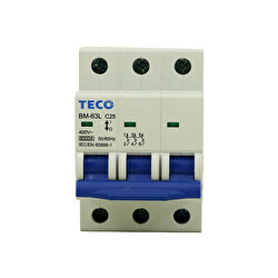 Teco BM-63LC/3025 Otomatik Sigorta 1 Adet