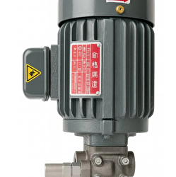 Chen Ying Yağ Pompa Motoru 