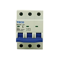 Teco BM-63LC/3010 Otomatik Sigorta 1 Adet